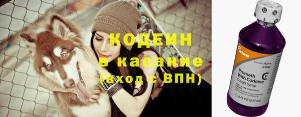 ПСИЛОЦИБИНОВЫЕ ГРИБЫ Верхний Тагил