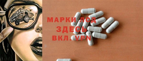 индика Богородицк