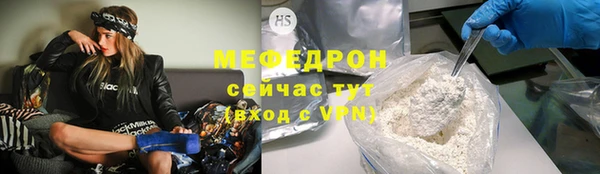 индика Богородицк