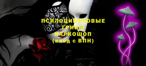 ПСИЛОЦИБИНОВЫЕ ГРИБЫ Верхний Тагил