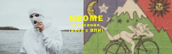индика Богородицк