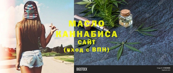 индика Богородицк