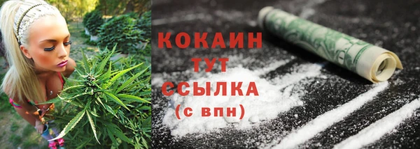 ПСИЛОЦИБИНОВЫЕ ГРИБЫ Верхний Тагил