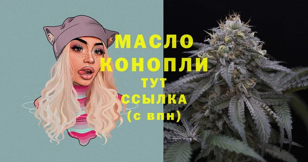 гидра Богородск