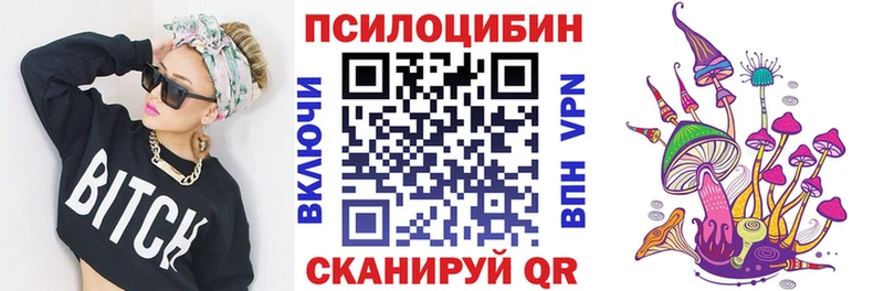 Купить закладки  Лениногорск  Псилоцибиновые грибы Magic Shrooms 